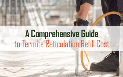 A Comprehensive Guide to Termite Reticulation Refill Cost