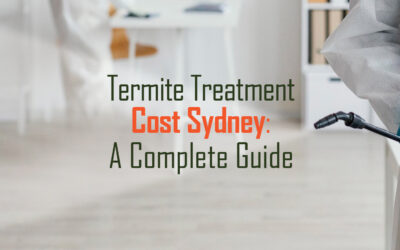 Termite Treatment Cost Sydney: A Complete Guide