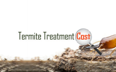 How much does termite treatment cost?
