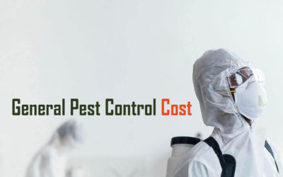 Comprehensive Guide to General Pest Control Cost