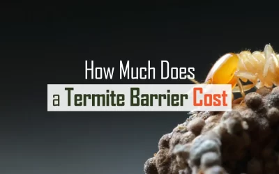 how much does a termite barrier cost?