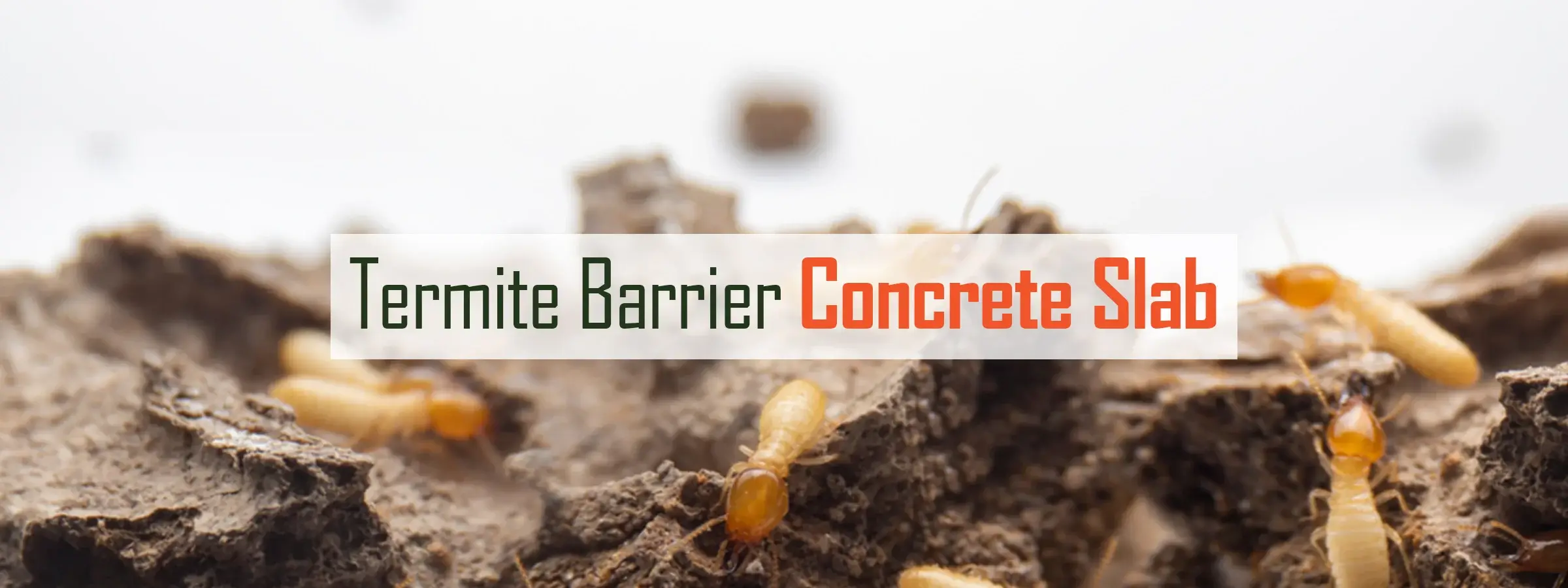 Termite-Barrier-Concrete-Slab 