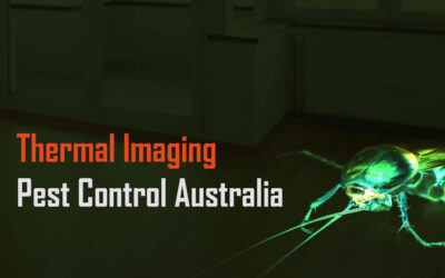 Thermal Imaging Pest Control Australia