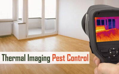 Thermal Imaging Pest Control: Advanced Detection and Management