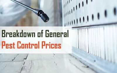 Breakdown of General Pest Control Prices